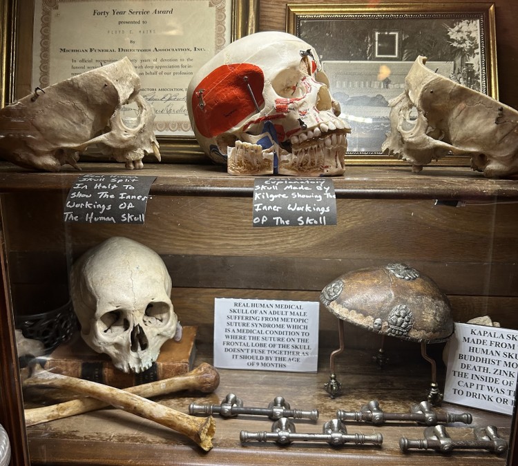 anatomy-of-death-museum-photo
